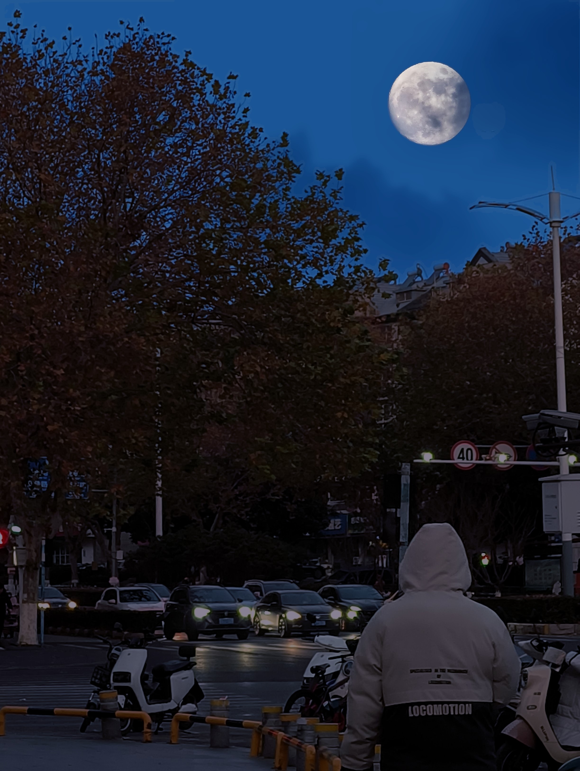 我的2024年度总结